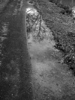 /album/reflections/l1030767-kopie-jpg1/